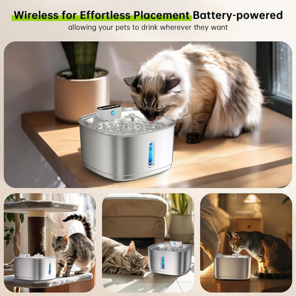 Smart Stainless Steel Pet Water Fountain with Filter