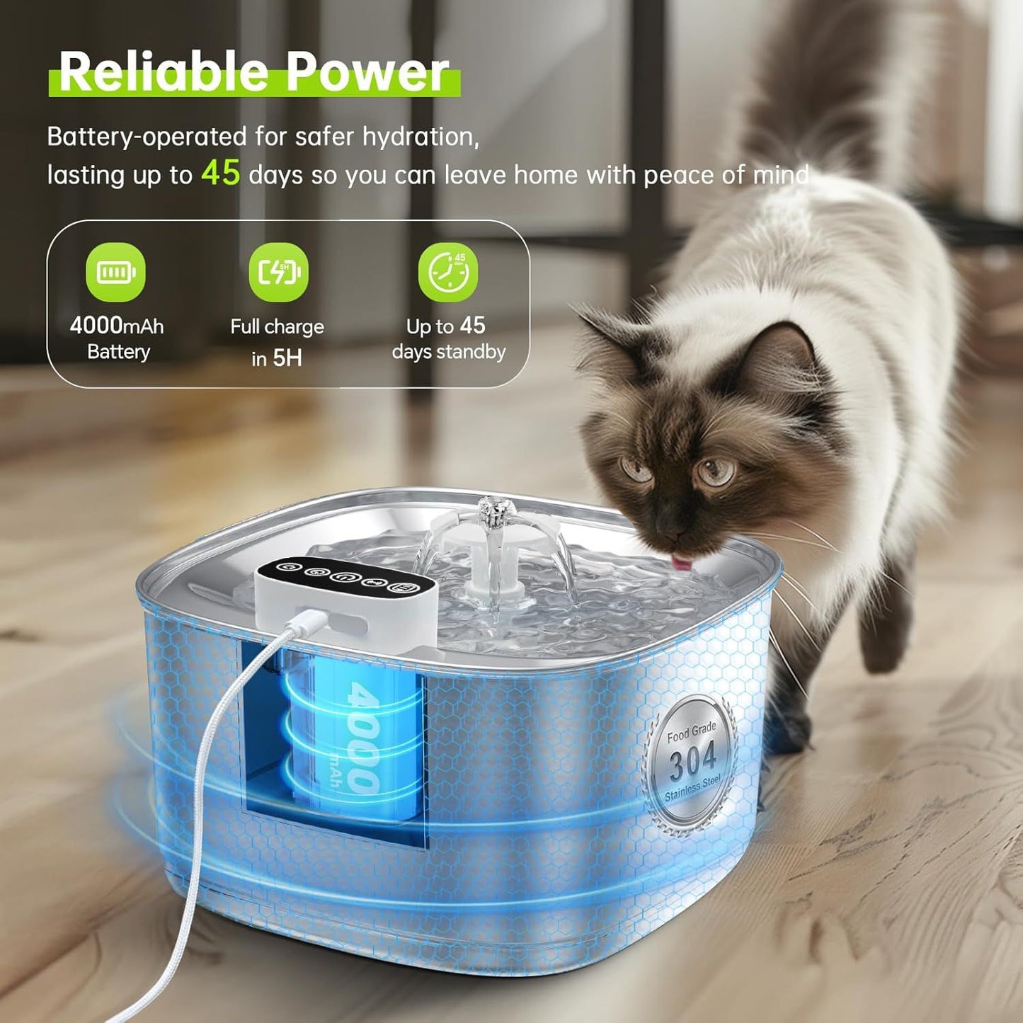 Smart Stainless Steel Pet Water Fountain with Filter