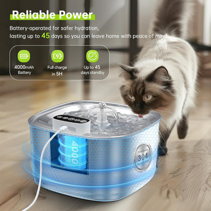 Smart Stainless Steel Pet Water Fountain with Filter