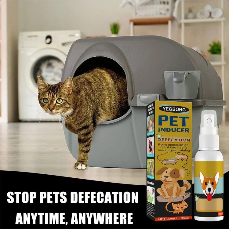Pet Toilet Training Spray
