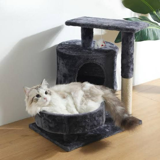 53 cm Cat Scratch Post - Cat Tree – Cat Scratch Post