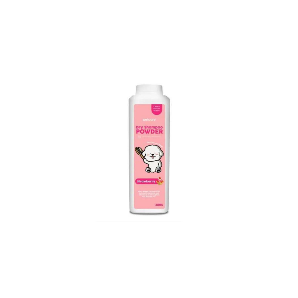 Dry Shampoo Powder