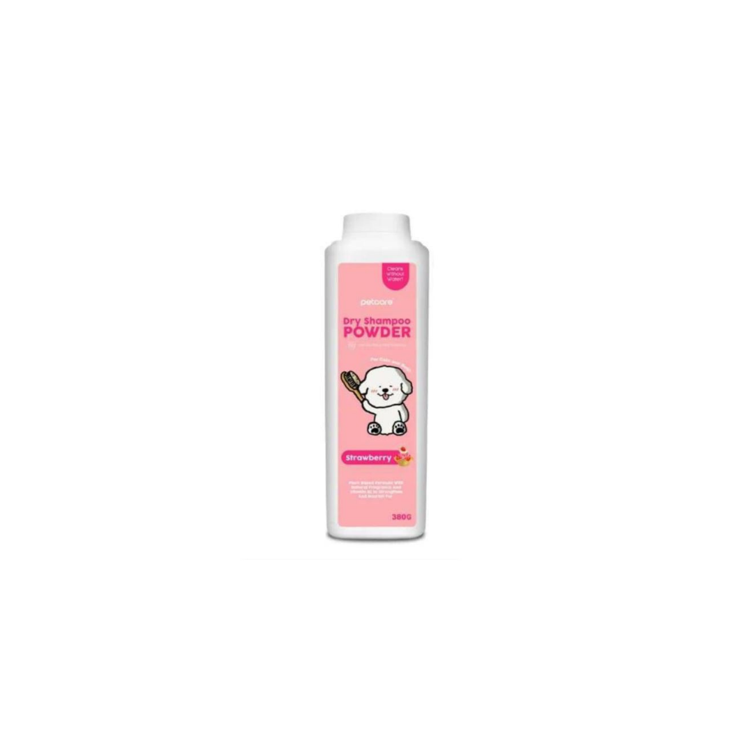 Dry Shampoo Powder