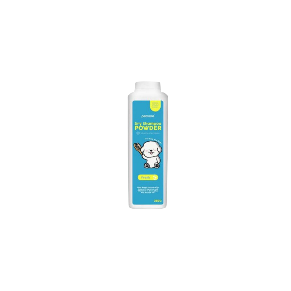 Dry Shampoo Powder
