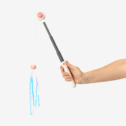 Retractable Cat Wand