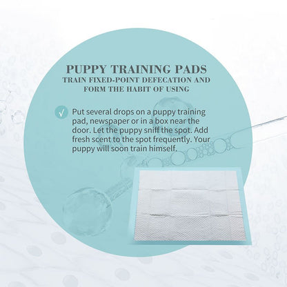 Pet Training Pads – Ultra-Absorbent Disposable Pads