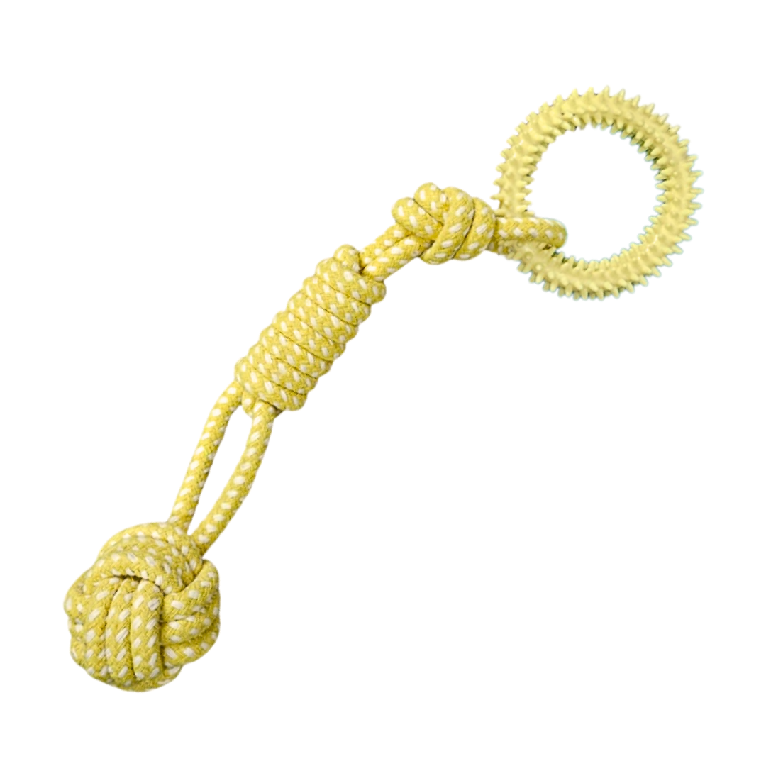 Dog Playtime Bundle – 8 Piece Set