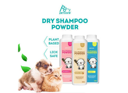 Dry Shampoo Powder