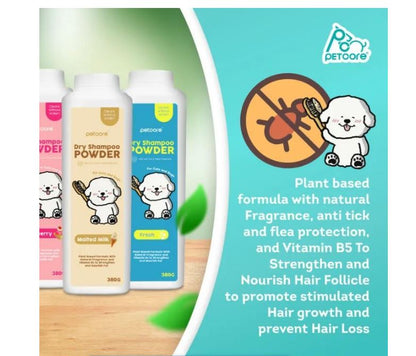 Dry Shampoo Powder