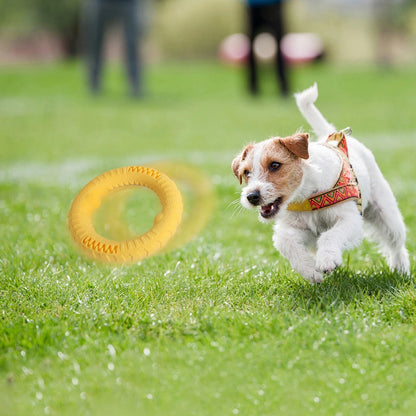 Dog Playtime Bundle – 8 Piece Set