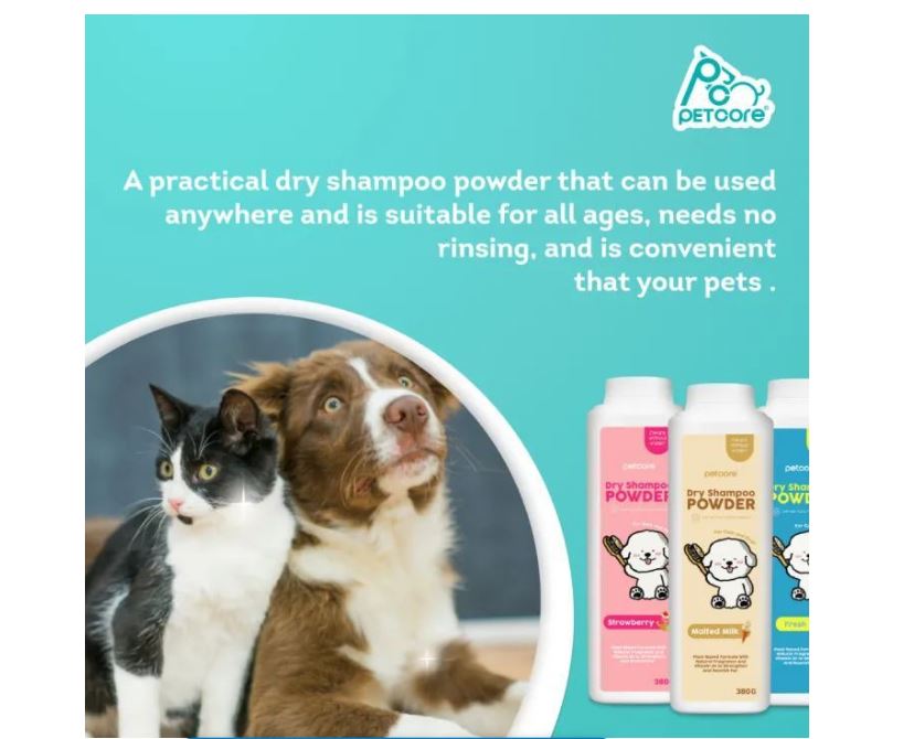 Dry Shampoo Powder