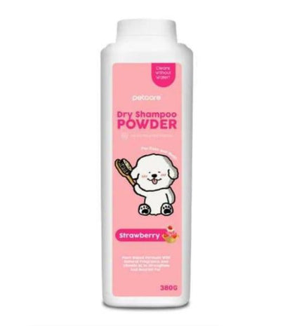 Dry Shampoo Powder